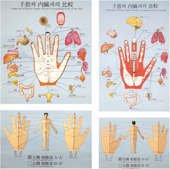 高麗手指鍼療法 武蔵野市 吉祥寺のはり 灸 整体 たなうら治療院